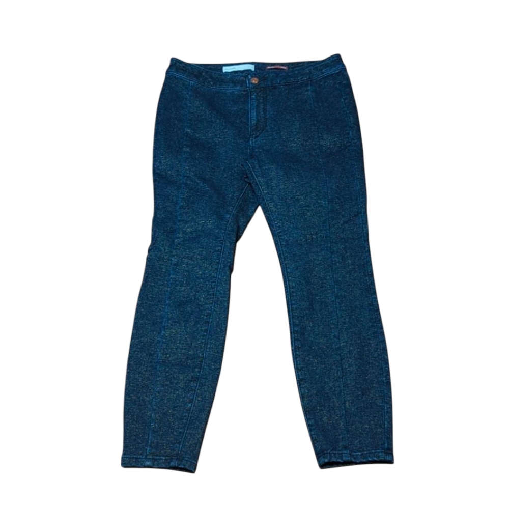 Anthropologie Pilcro Sparkly Shimmery High Rise Denim Leggings Petite Size 29P